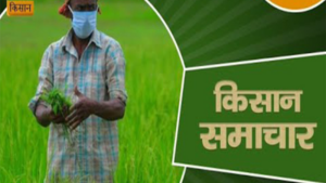 DD Kisan: To Launch Two AI Anchors, AI Krish and AI Bhoomi