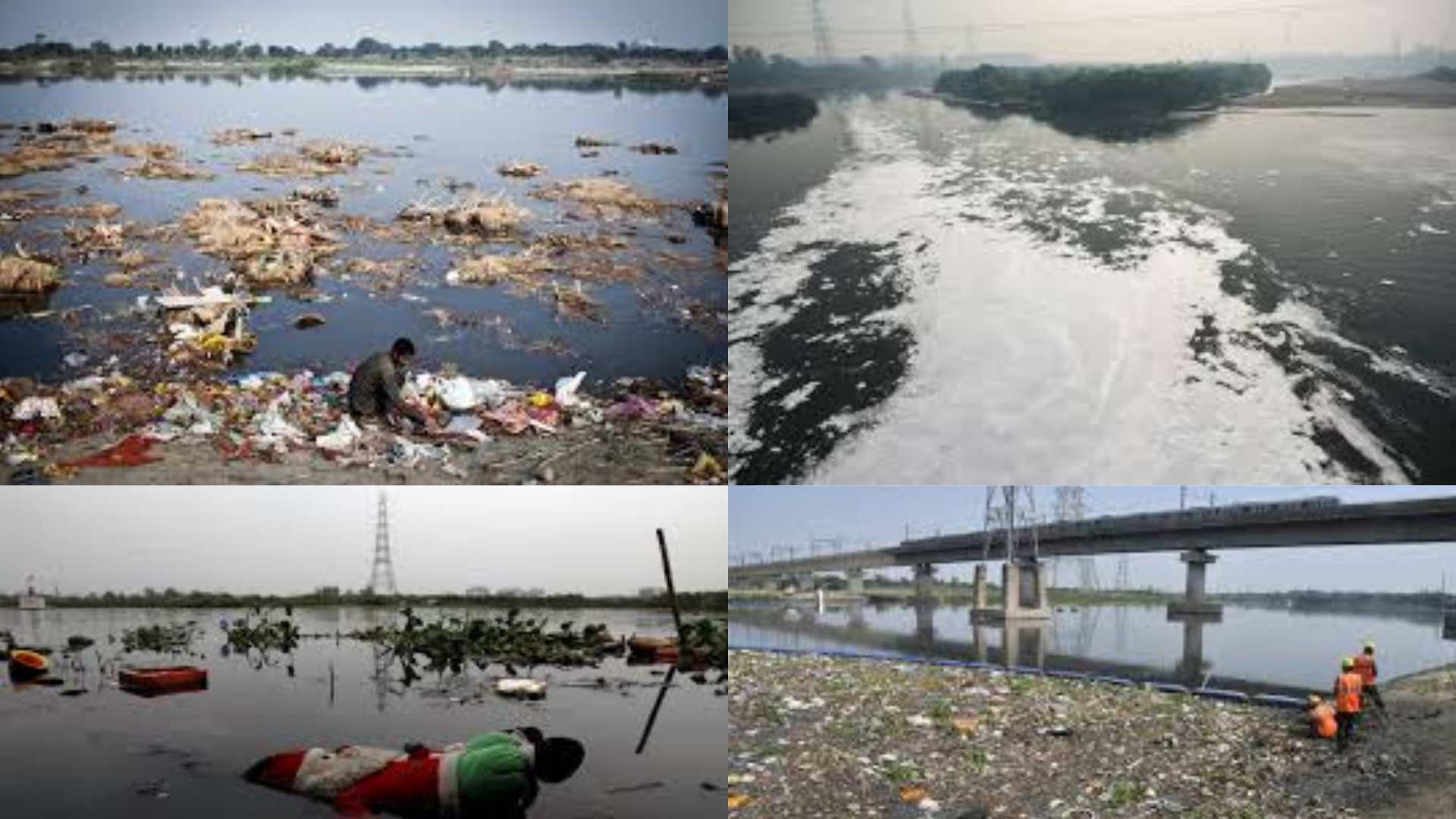 NGT Fines Prayagraj DM for Delaying Ganga, Yamuna Sewage Report