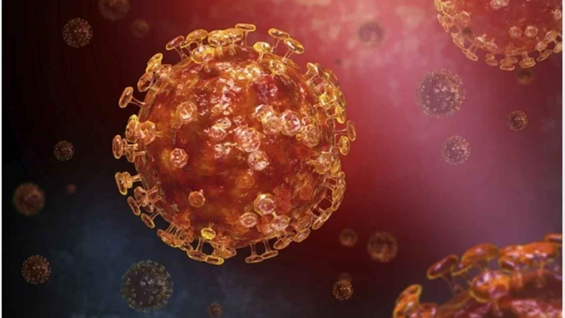 MERS Coronavirus: WHO Reported Three Cases In Saudi Arabia