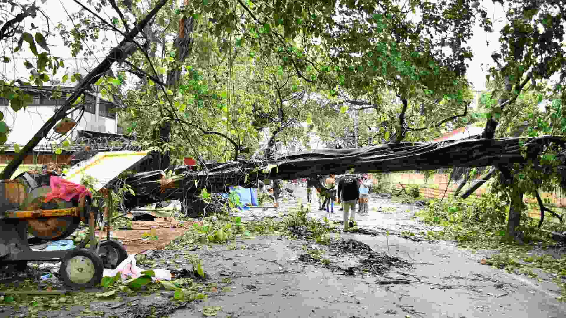After Cyclone Remal: Assam Hit by Heavy Rain, Strong Winds