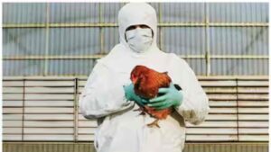 Second Human Case Of Bird Flu Reported In US