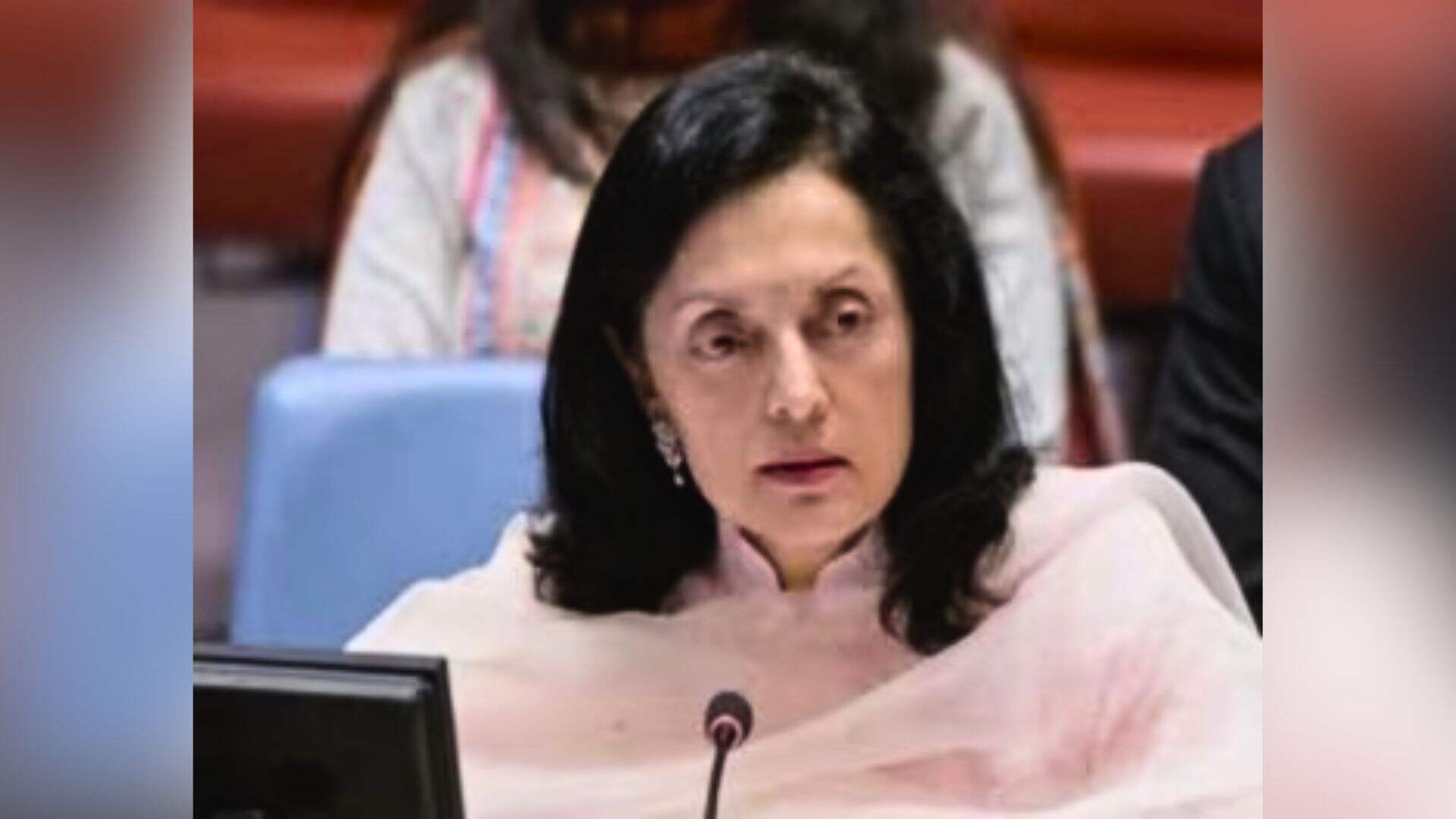 India Slams Pakistan at UN, Advocates Culture of Peace Amid Global Challenges