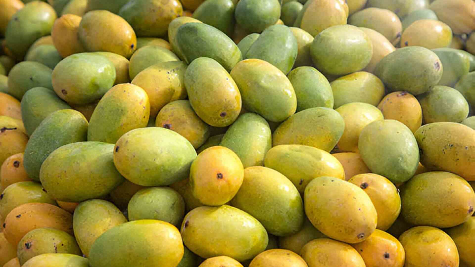 Assam: Food Safety Department Seizes Carbide-Laden Mangoes