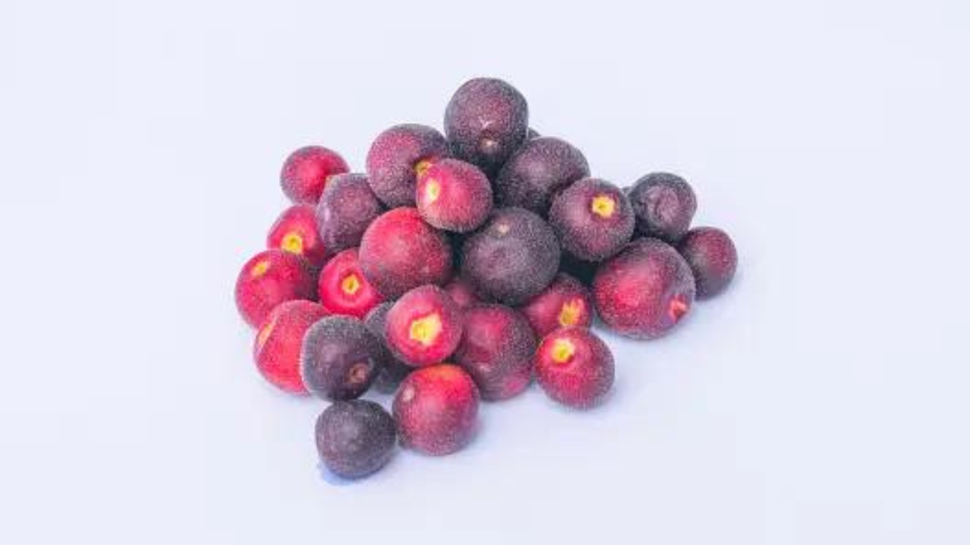 Summer’s Secret Weapon: Daily Phalsa Fruit Unlocks Amazing Benefits