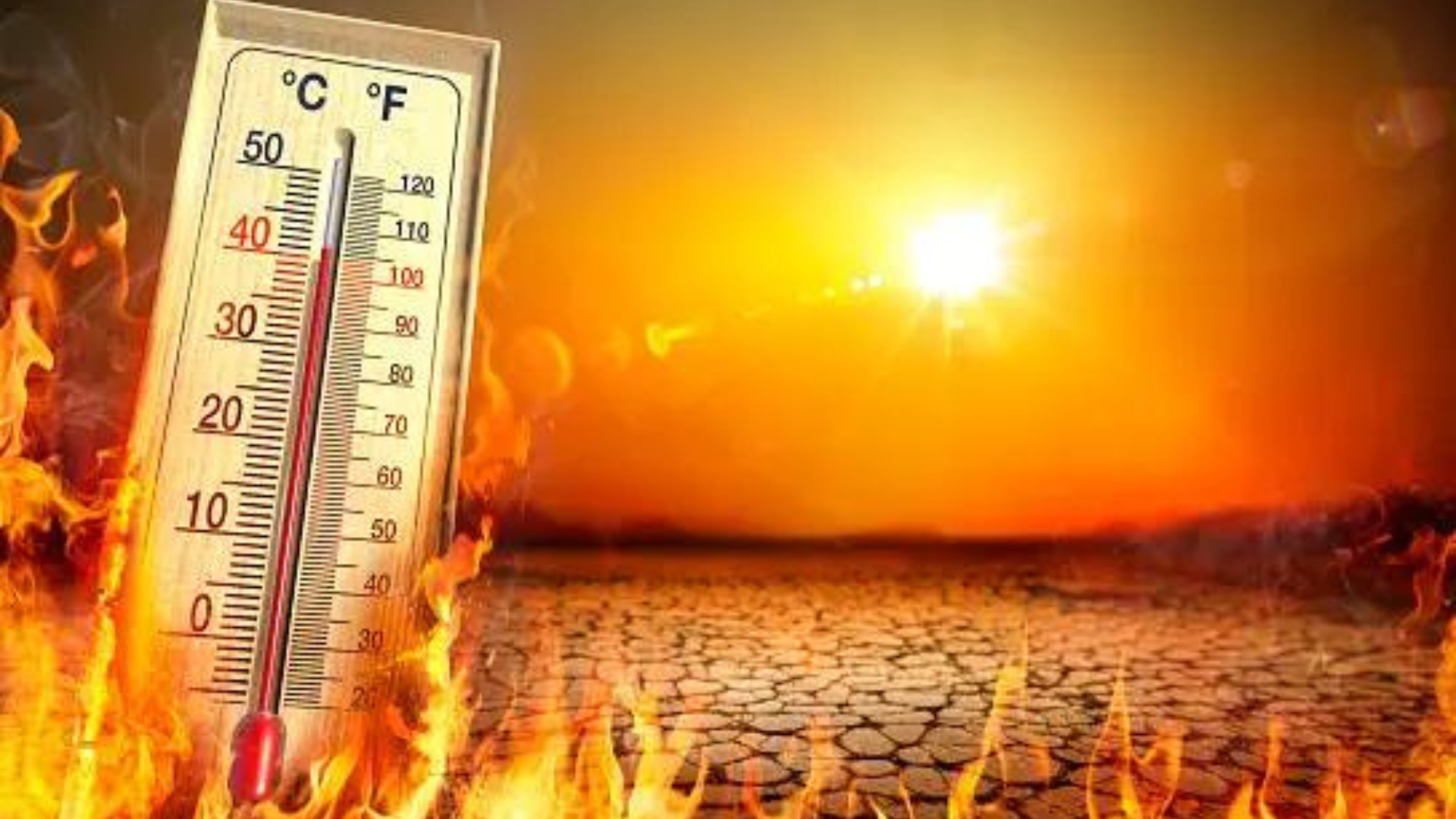 Heat Waves Alert: Can Agriculture And Industry Survive?