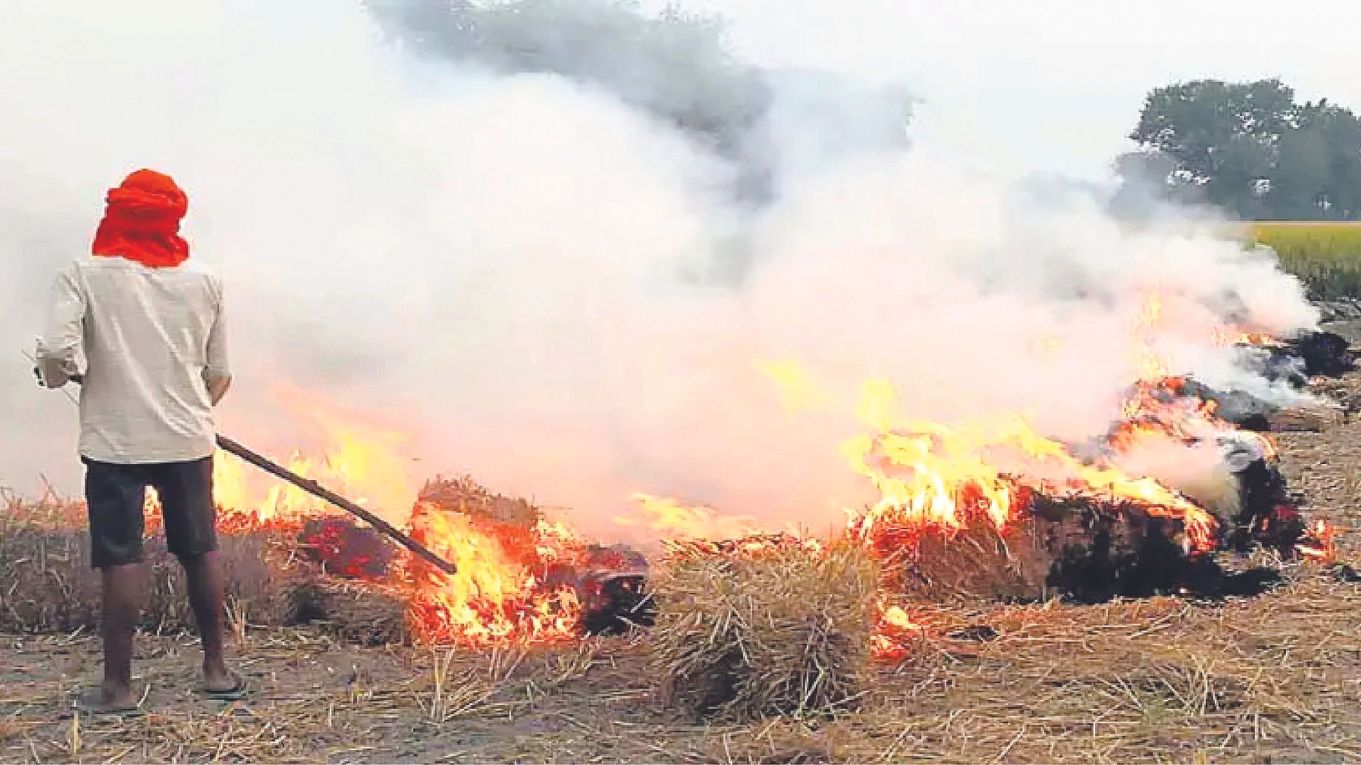 IMD links extreme heat to stubble-burning