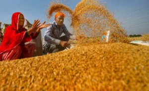 Centre imposes limits on wheat stocks