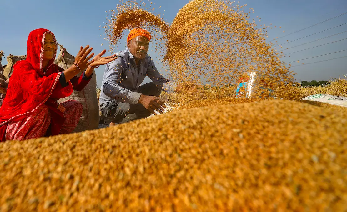 Centre imposes limits on wheat stocks
