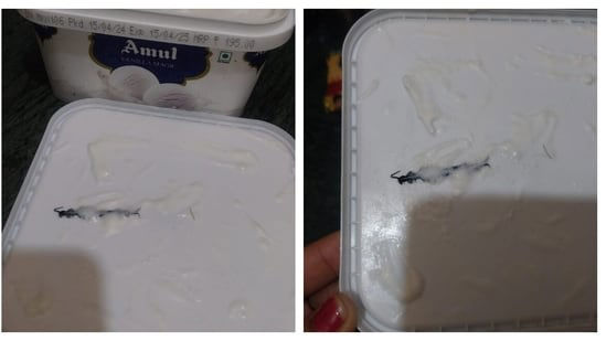 In a Shocking Claim, Noida Woman Found a Centipede in Amul Ice Cream Ordered Online