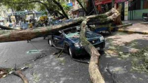 Bengaluru Breaks Rain Record After 133 Years, IMD Issues Orange Alert For These States