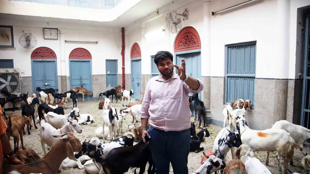 Jains In Old Delhi Dressed Up As Muslims Rescued 124 Goats From ‘Bakrid Sacrifice’: Know How?