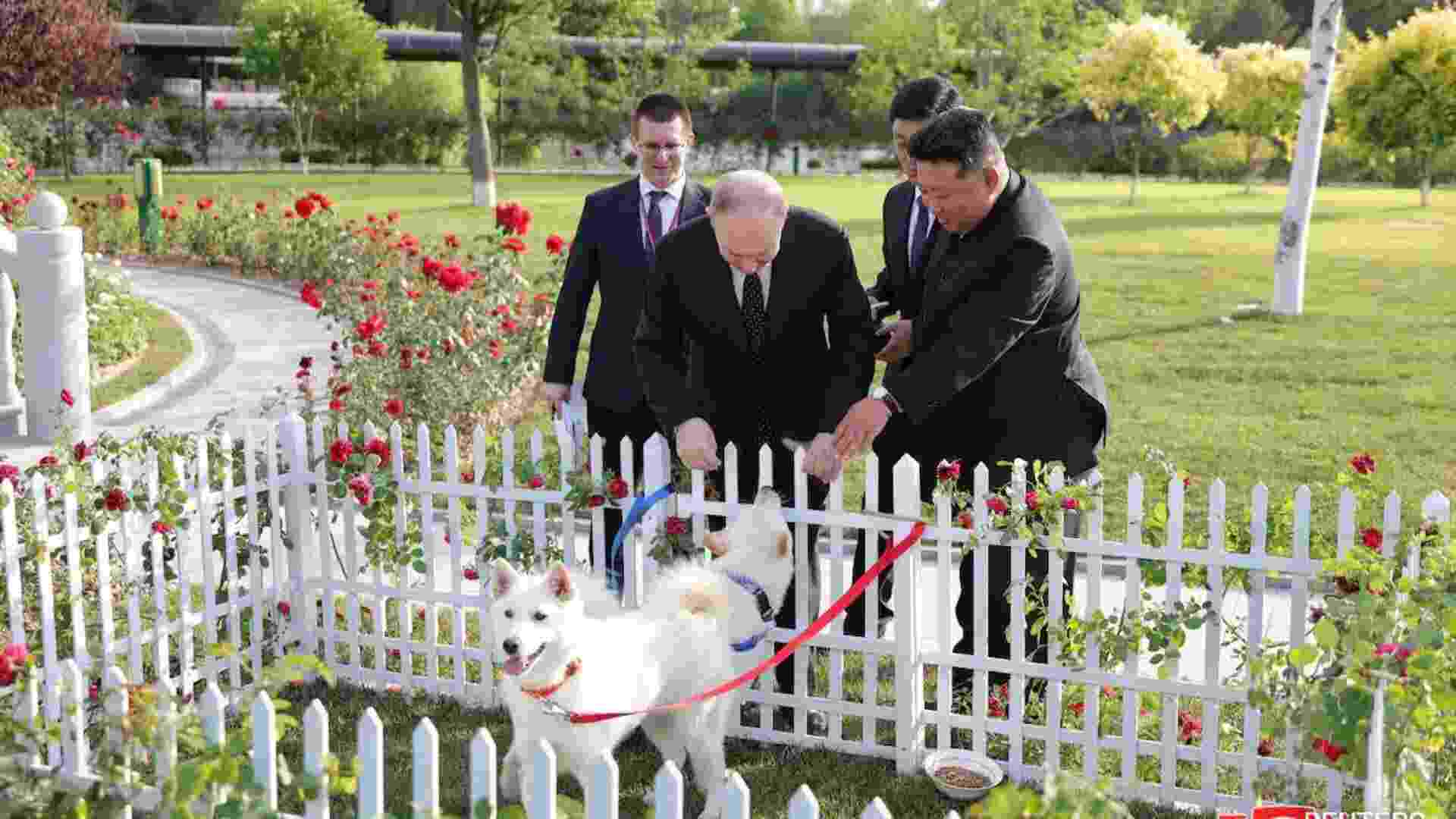 Putin Receives Pungsan Hunting Dogs From Kim Jong Un