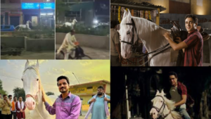 Is It Panchayat’s Sitara Singh Or Jai From Jaane Tu? Delhi’s Mystery Horseback Rider Video Goes Viral