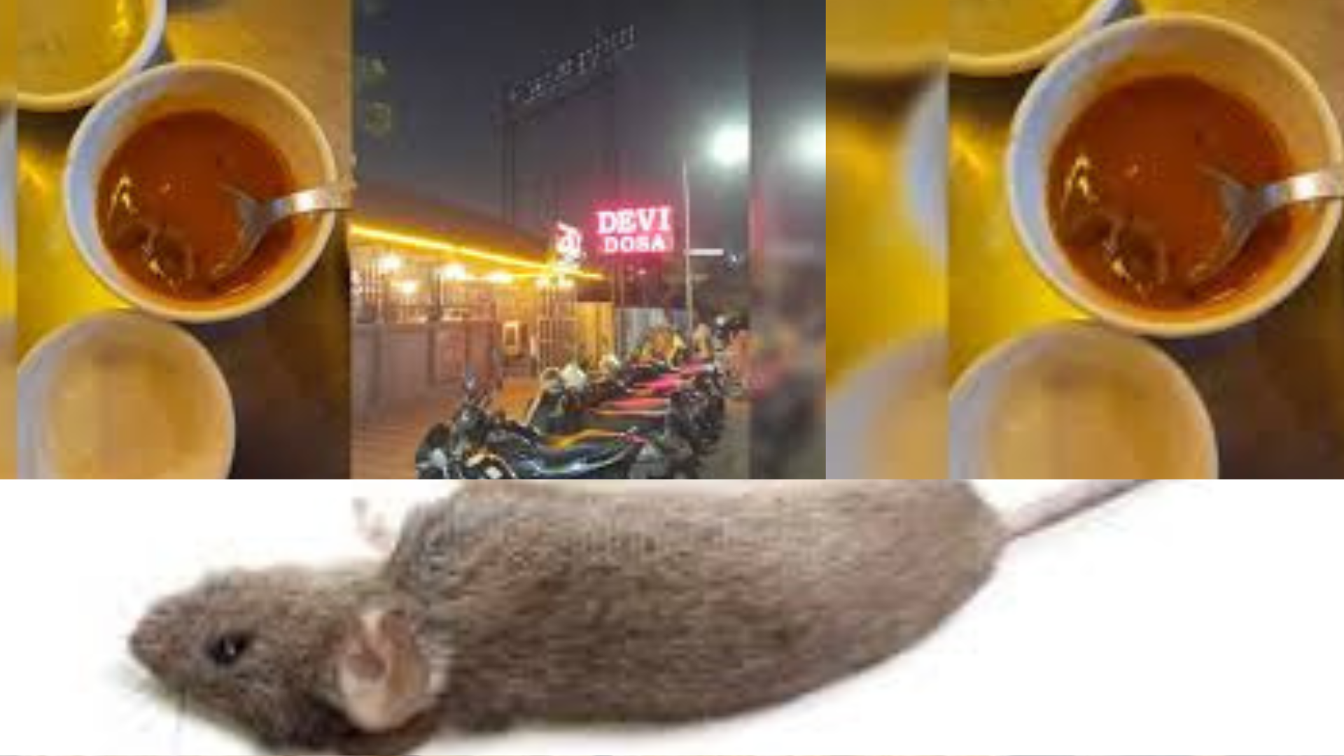 Dead Rat Found in Sambar at Ahmedabad Restaurant, Watch Viral Video