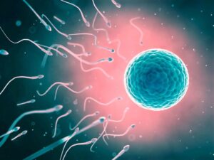 Delhi Court Orders Hospital to Release Dead Man’s Sperm – The Reason Will Leave You Speechless