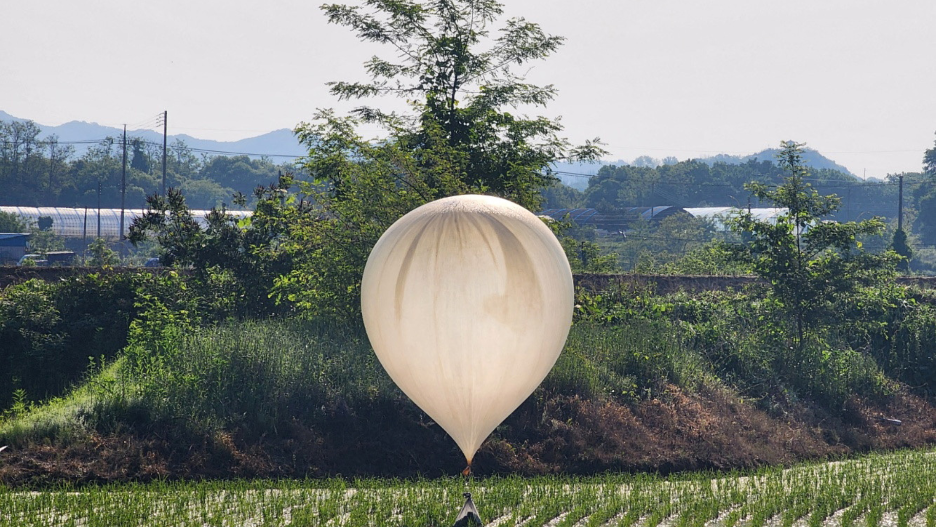 North Korea Sends Over 600 More Trash Balloons Into South Korea
