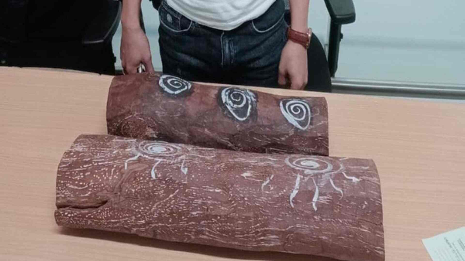 CISF Caught A Vietnamese National With Red Sandalwood At IGI Airport