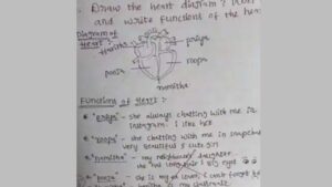 Student Gets ‘Too Honest’ With Heart Diagram | Viral