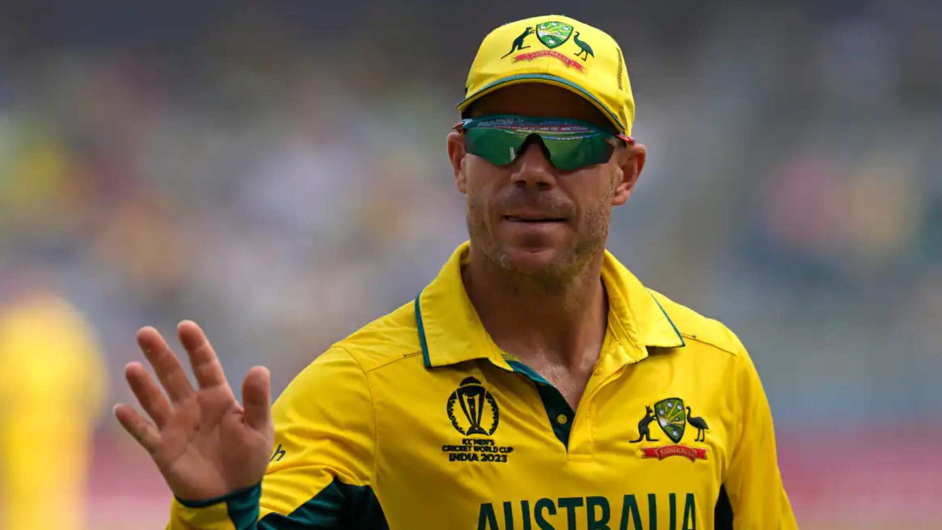 David Warner Cements His Legacy: Becomes Australia's All-Time Leading T20 Run Scorer