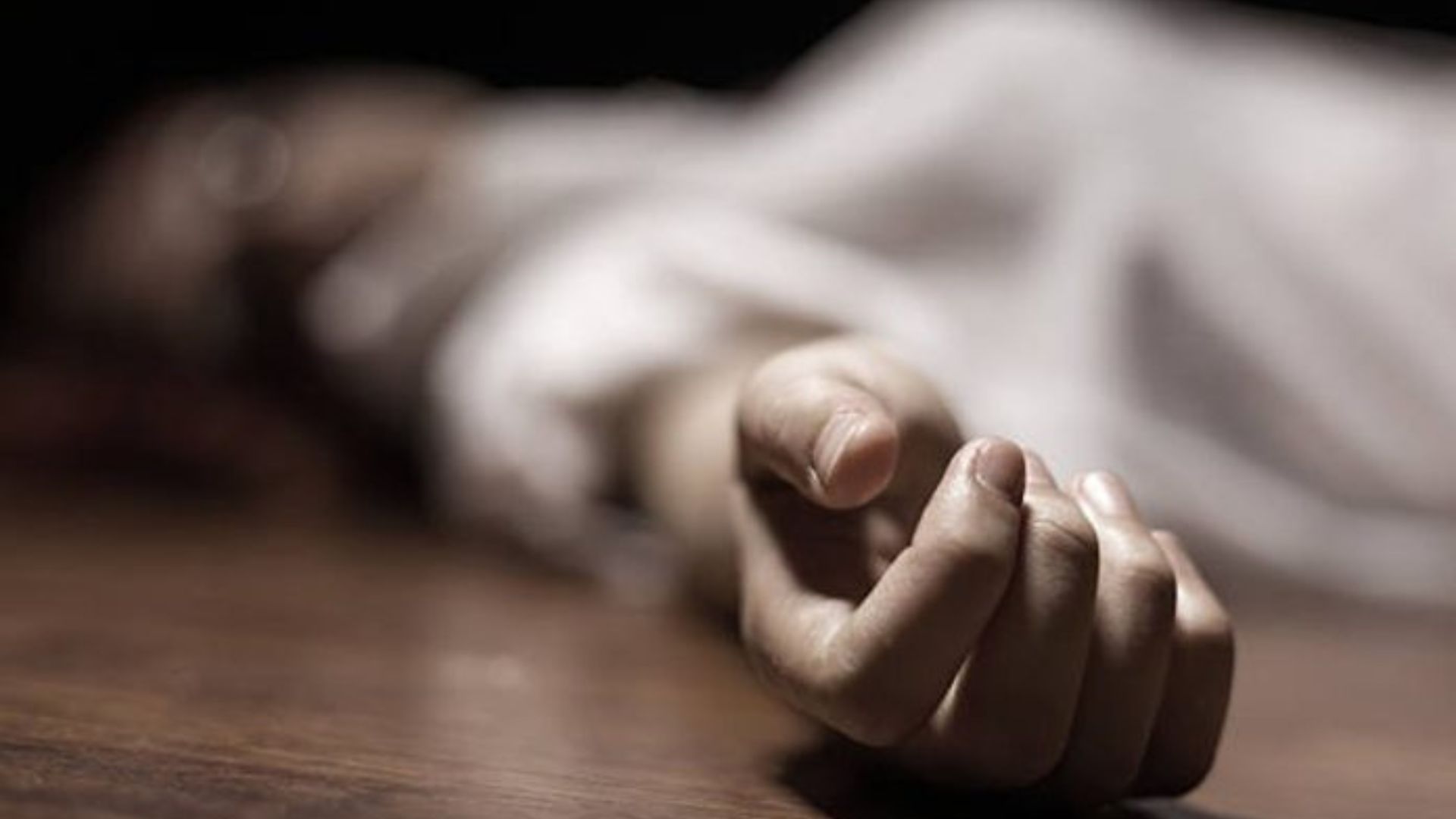 Haryana: Ex-Serviceman Murders Five Family Members In Ambala