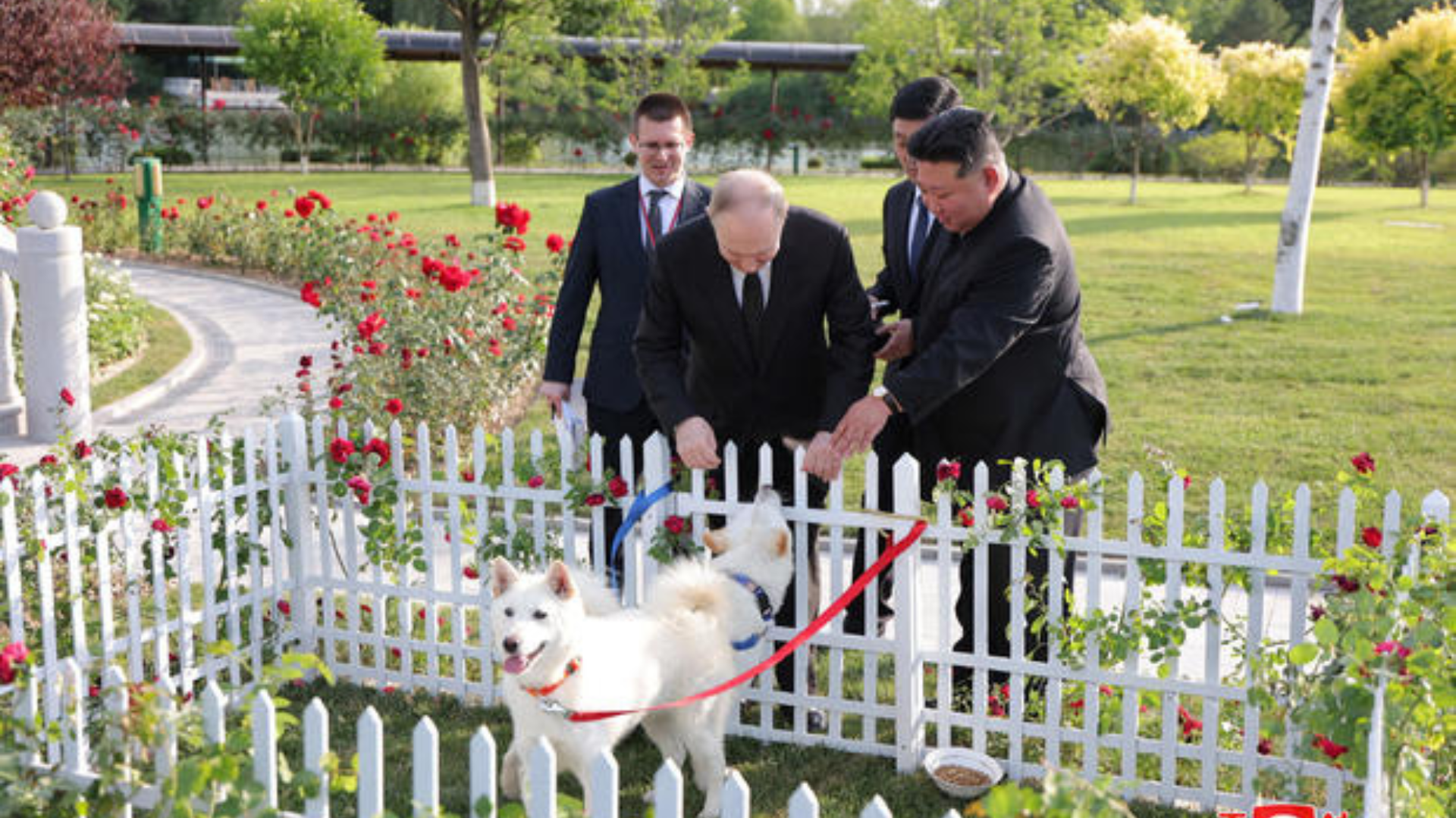 Putin, Kim Bond Over Animals and Limousine Rides in North Korea