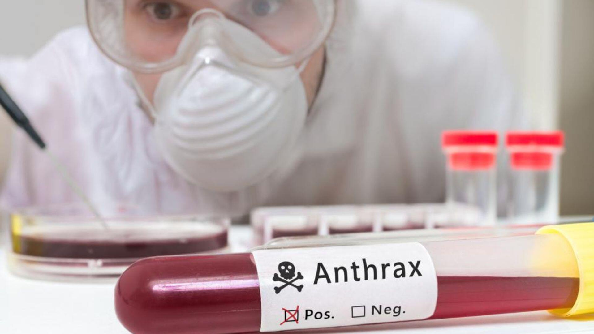 Anthrax Cases In India: Recognizing Symptoms And Preventive Measures