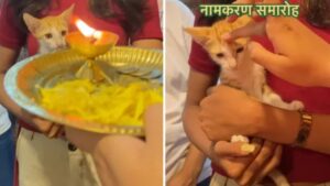 This Beauty Brand Holds ‘Naamkaran’ Ceremony For Office Kitten