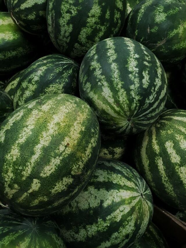 5 Reasons Why You Should Prefer Watermelons Over Any other Fruit This ...