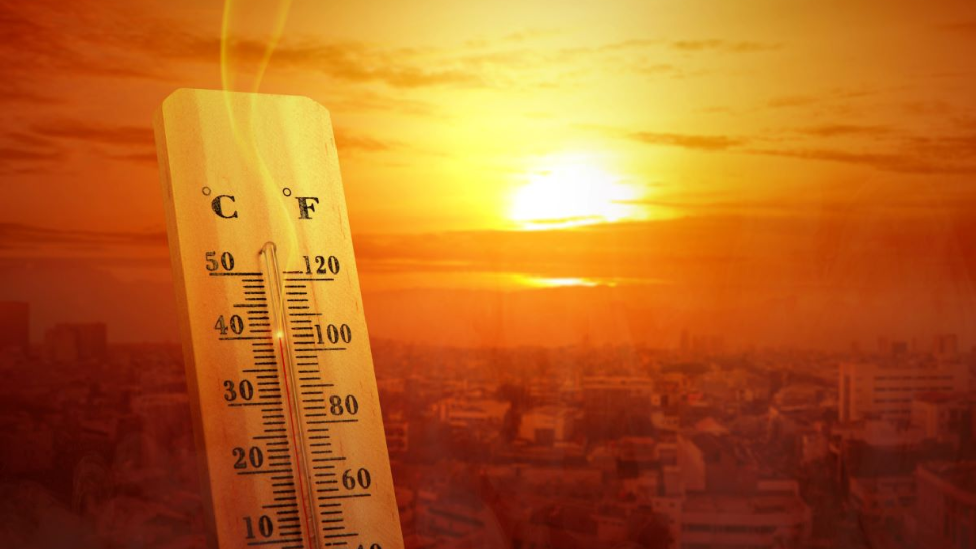 Understanding Heat Stress: A Lethal Threat in Rising Temperatures