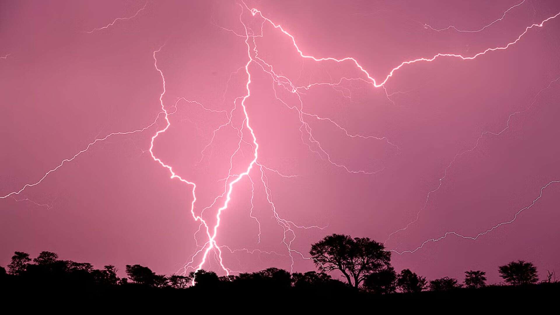 UP Lightning Strikes: 38 Fatalities Reported In Single Day Disaster