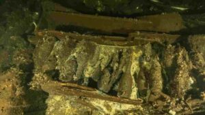 19th Century Champagne, Luxury Goods Uncovered In Baltic Shipwreck