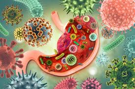 The gut-immune connection: Strengthening immunity through gut health optimization