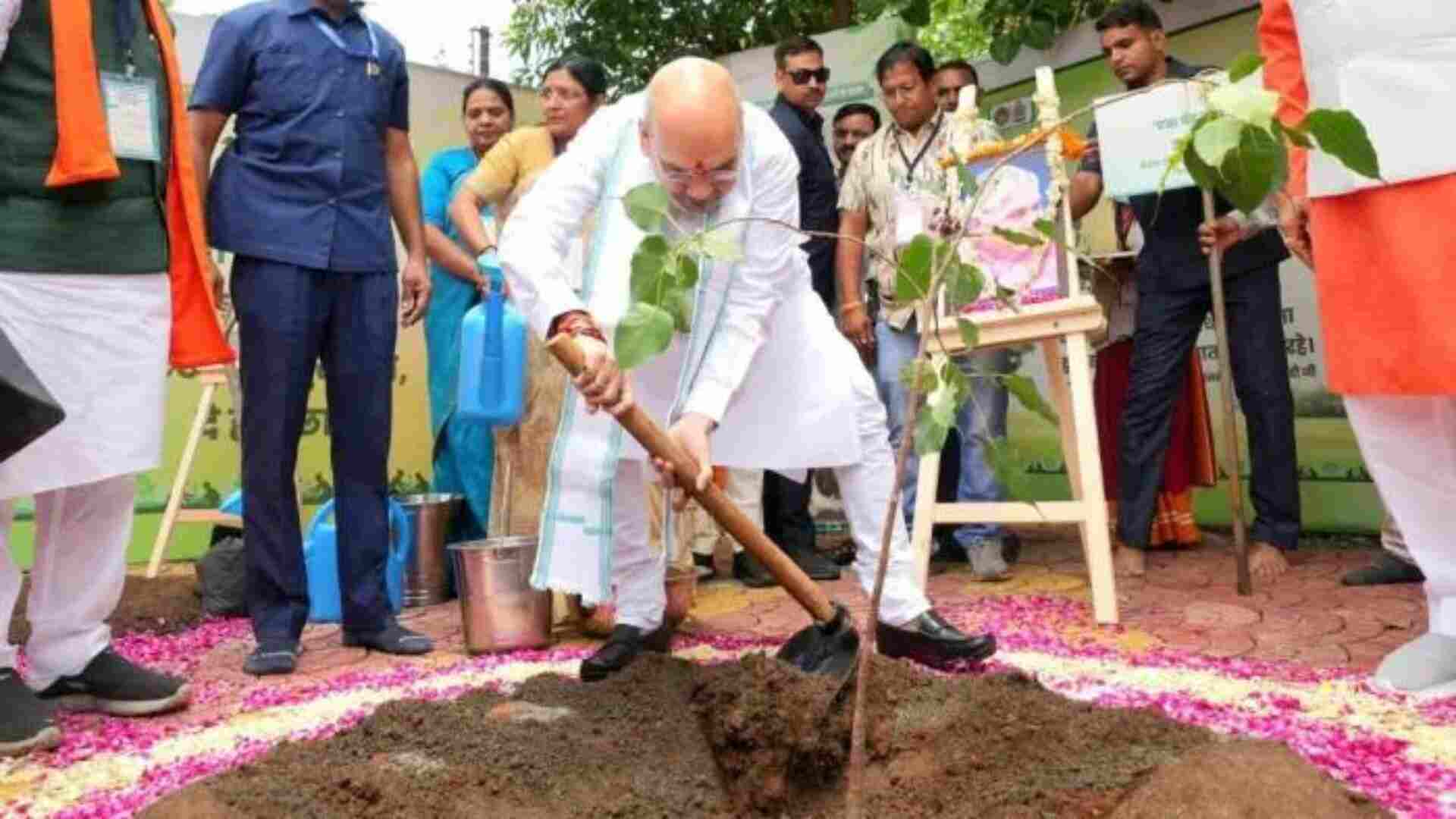 Indore: Amit Shah Encourages Plantation Drive To Cement Green City Status