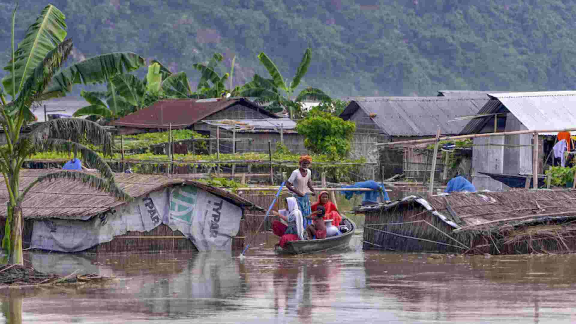 Assam Floods Claim Lives Of 92 Animals, 95 Rescued In Kaziranga National Park