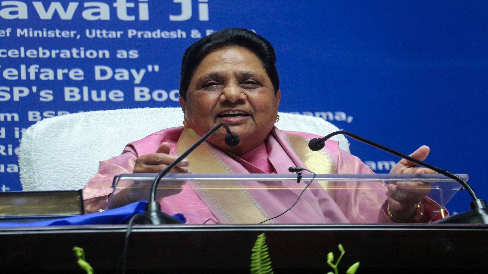 BSP Supremo Mayawati (ANI photo)