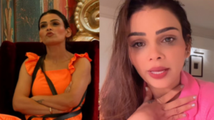 Bigg Boss OTT 3: Payal Malik First Post-Eviction Video, Blame Housemates