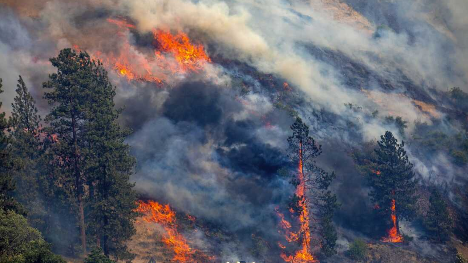 California Wildfires: The Factors Behind 2024's Largest Blaze