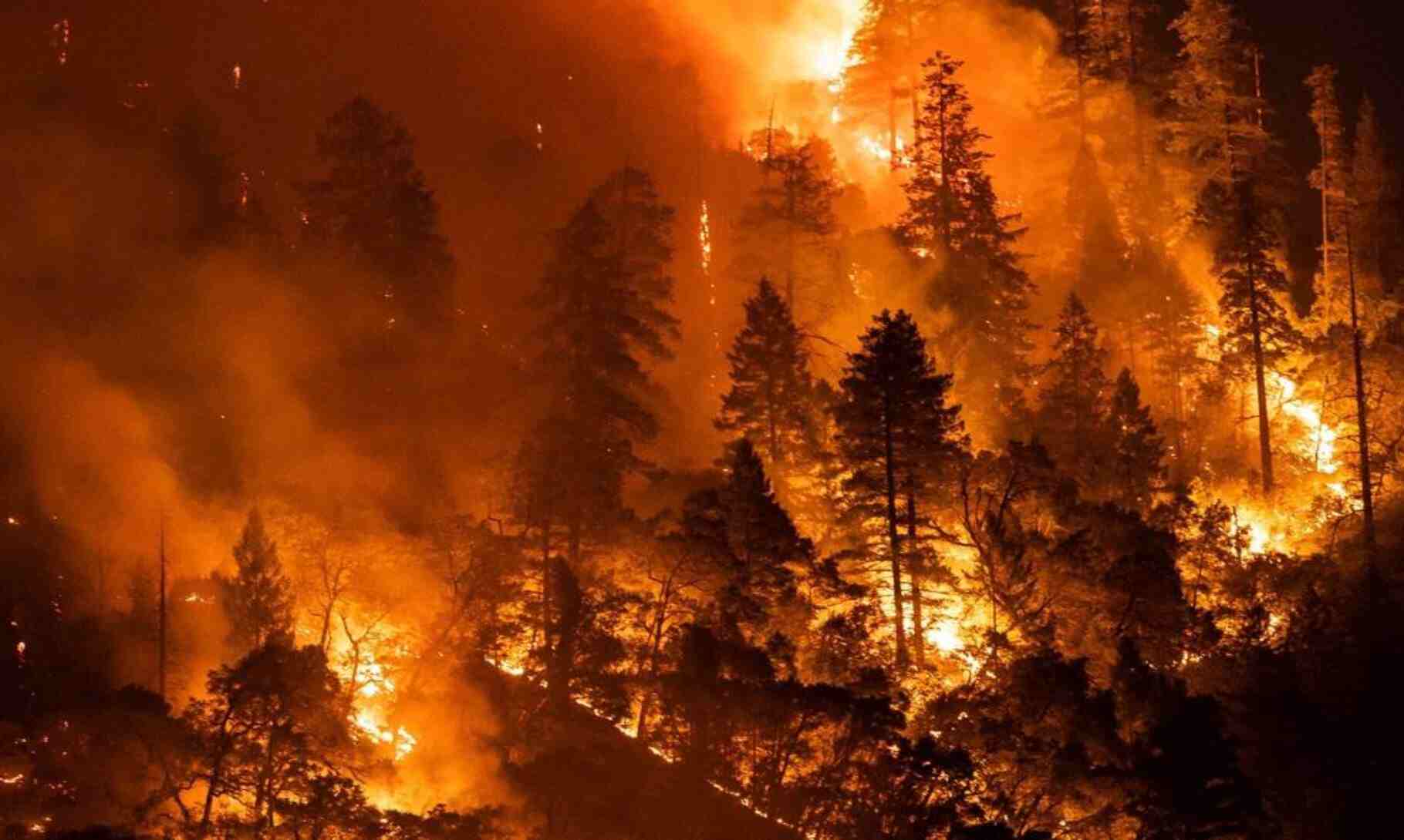 California Faces Devastating Wildfire Season Amid Record Heatwave