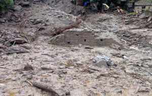 Watch: Dramatic Landslide Devastates Road Near Bengaluru-Mangaluru Highway