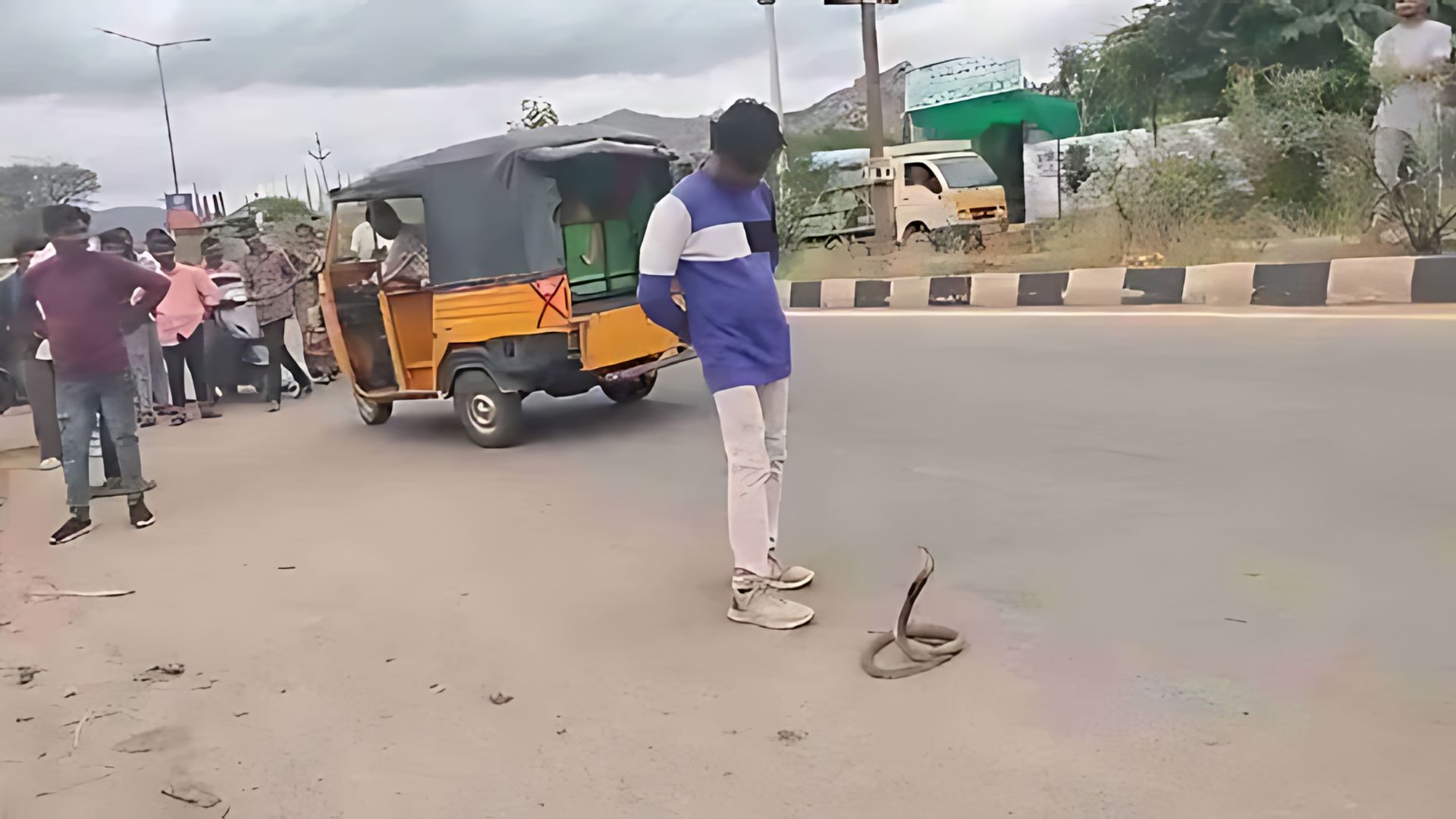 Watch: Drunk Man Tries To Play With Cobra, Regrets Soon After