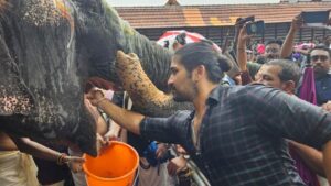 Elephants At Thrissur Temple Feast On Tripura Pineapples