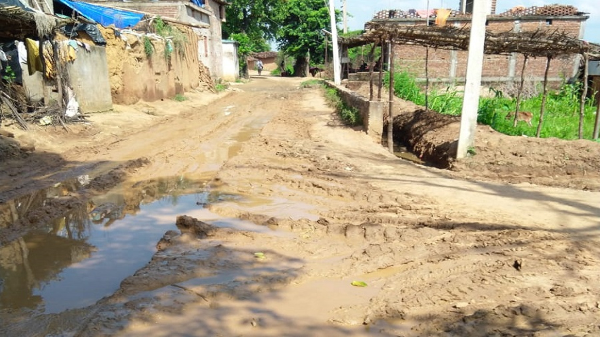 Frustrated By Govt Inaction, Jharkhand Villagers Construct Road To Battle Monsoon