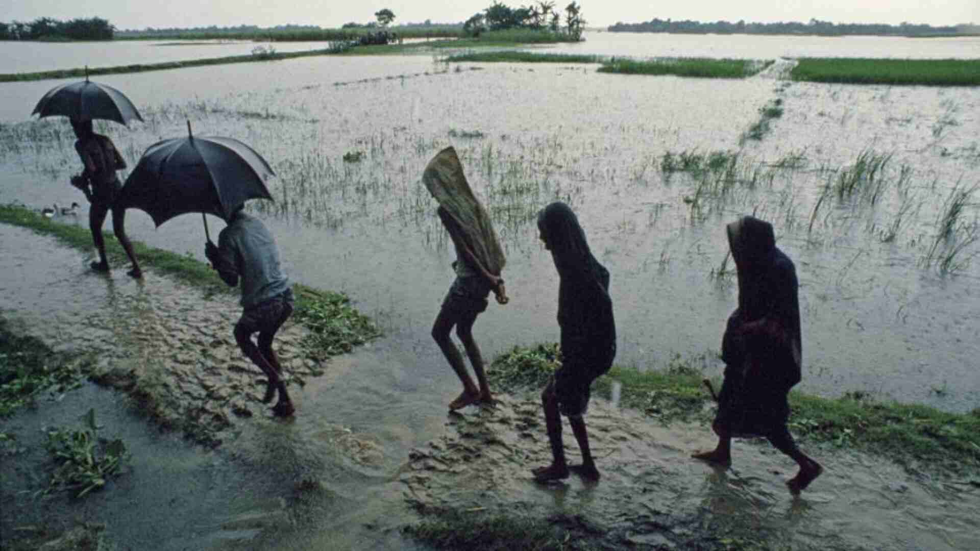 IMD Issues Red Alerts For Maharashtra, Goa, Kerala; Schools Closed Due To Heavy Rain