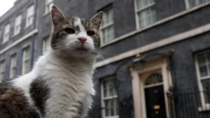 Larry The Cat’ Claims To Be In Charge Of 10 Downing Street As Keir Starmer Is Yet To Take Oath