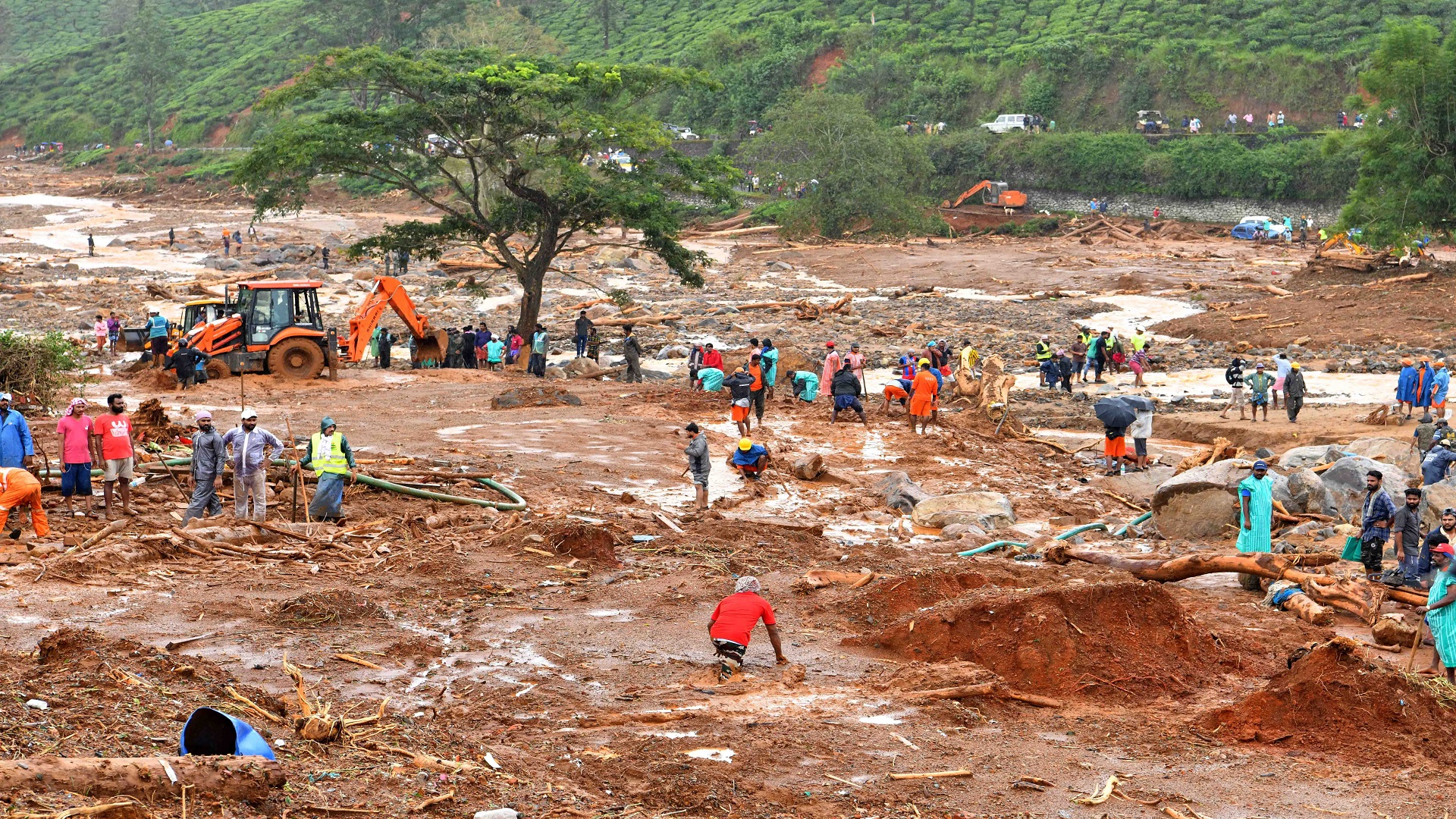 NDRF searching for survivors under the debris after the landslide at Wayanad on Sunday. (ANI photo)