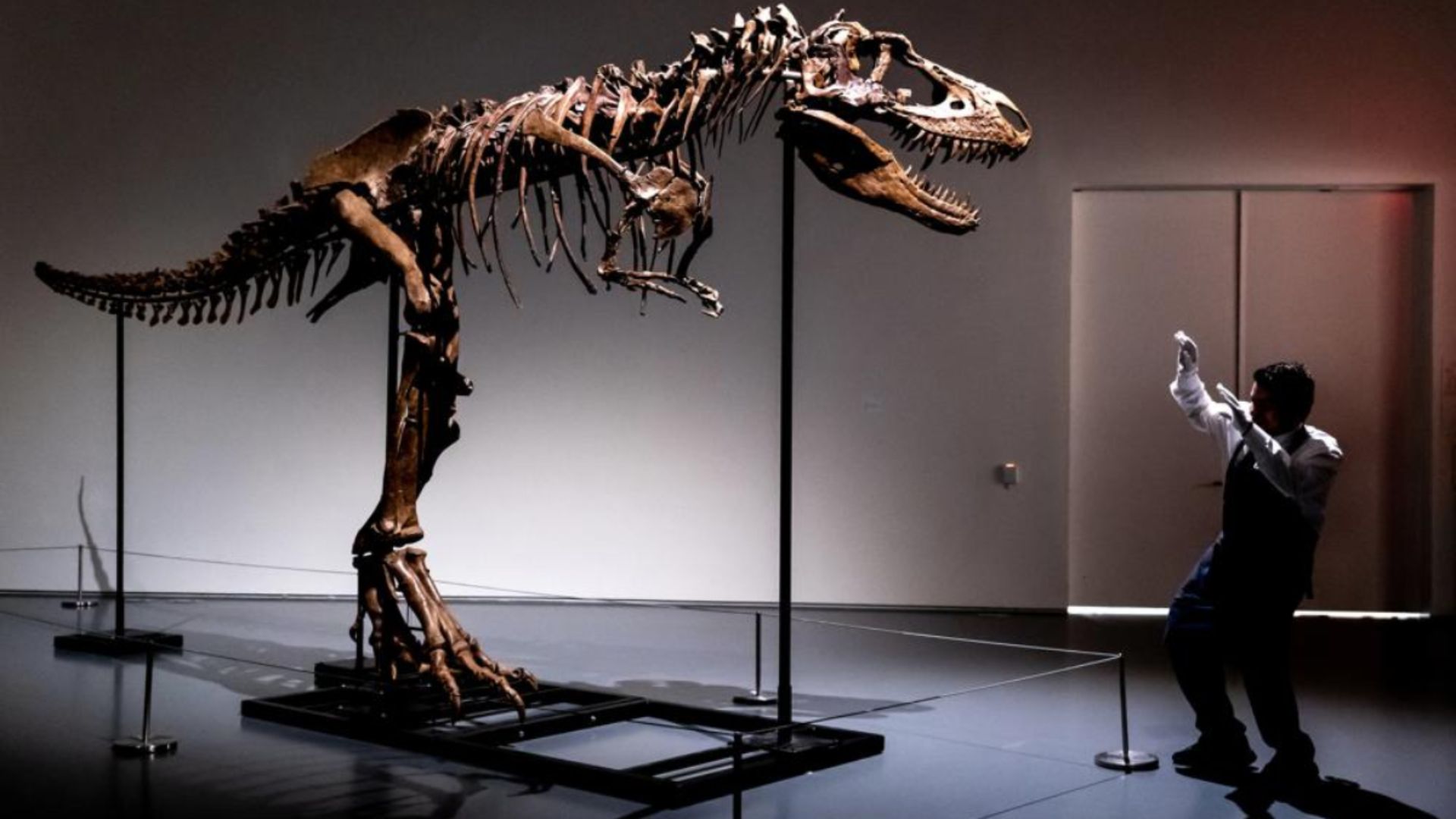 Billionaire Smashes Auction Record By Paying $45 Million For Dinosaur Skeleton