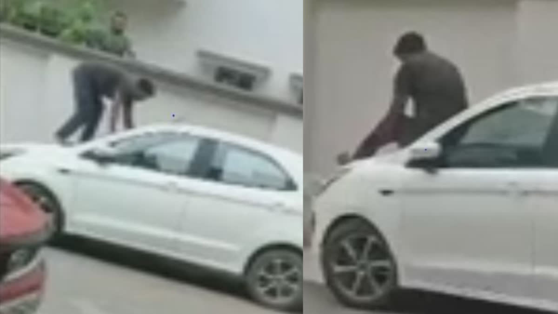 Watch: ‘Pet’ Pitbull Attacks Delivery Man In Raipur