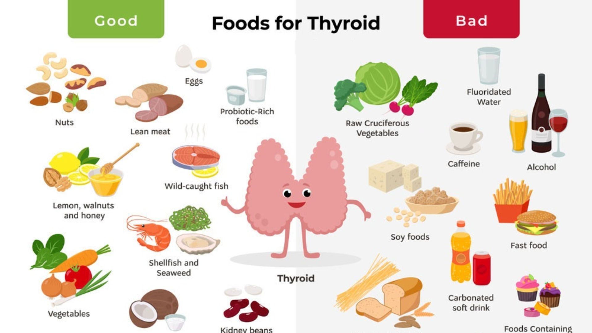 Thyroid Health and Nutrition: Foods to Support Thyroid Function