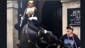 Watch: Tourist Bitten By King’s Guard Horse While Taking Photo