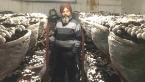 Success Story: How Mushroom Farming Transforms Baldev Singh’s Life In Punjab